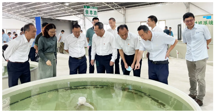 广州：淡水鱼类南沙(南繁)育种中心首个生产车间正式投入使用